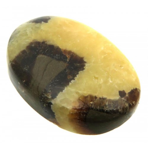 Oval 35x23mm Septarian Cabochon 03