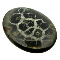 Oval 54x40mm Septarian Cabochon 07