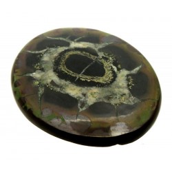 Oval 50x42mm Septarian Cabochon 10