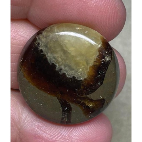Round 26x26mm Septarian Cabochon 23