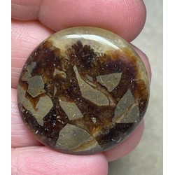 Round 30x30mm Septarian Cabochon 25