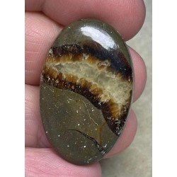 Oval 35x22mm Septarian Cabochon 26