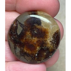 Round 30x30mm Septarian Cabochon 27
