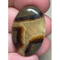 Oval 34x22mm Septarian Cabochon 29