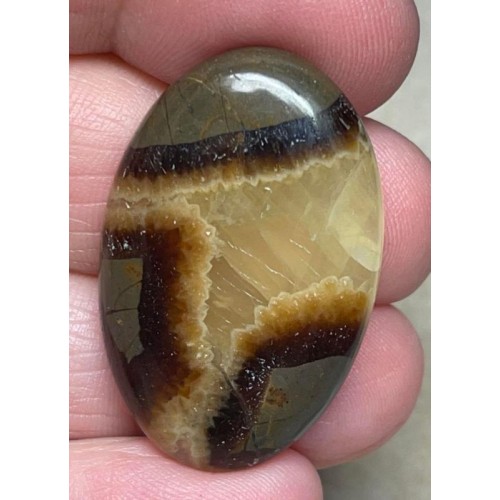 Oval 34x22mm Septarian Cabochon 29