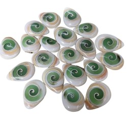 Single Teardrop 26mm Green Shiva Eye Shell Cabochon