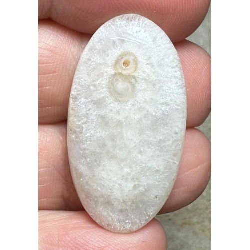 Oval 33x17mm Solar Moss Quartz Cabochon 29