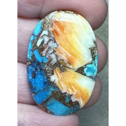 Oval 38x25mm Spiny Oyster Turquoise Cabochon 55