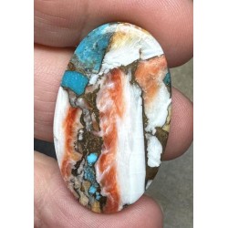 Oval 36x21mm Spiny Oyster Turquoise Cabochon 57