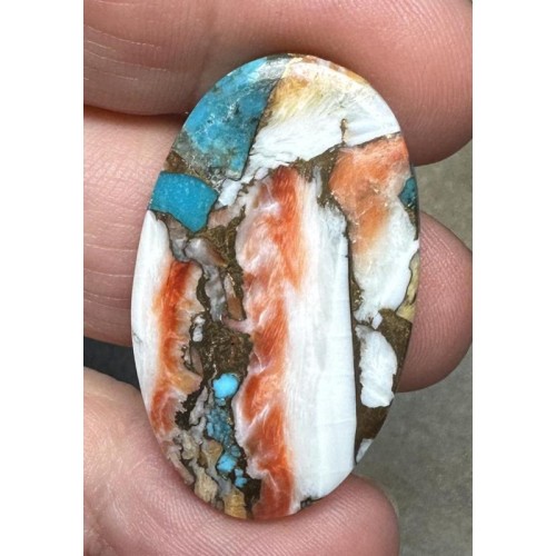 Oval 36x21mm Spiny Oyster Turquoise Cabochon 57