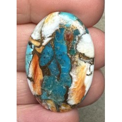 Oval 34x23mm Spiny Oyster Turquoise Cabochon 70