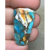 Freeform 33x18mm Spiny Oyster Turquoise Cabochon 79