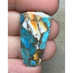 Freeform 33x18mm Spiny Oyster Turquoise Cabochon 79