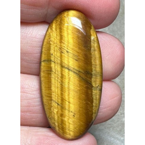 Oval 41x19mm Tigers Eye Cabochon 24