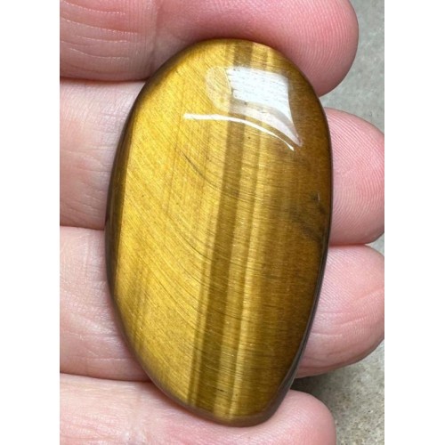 Freeform 42x25mm Tigers Eye Cabochon 25