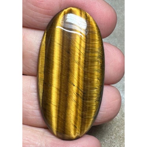 Oval 49x25mm Tigers Eye Cabochon 33