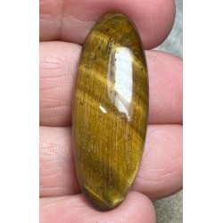 Oval 37x14mm Tigers Eye Cabochon 47