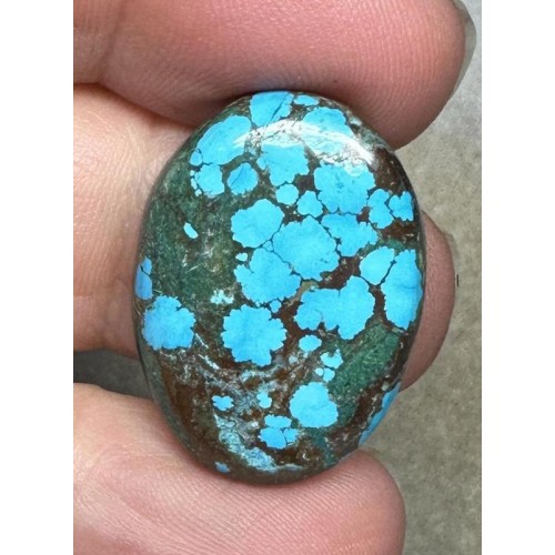 Oval 26x19mm Hubei Turquoise Cabochon 103