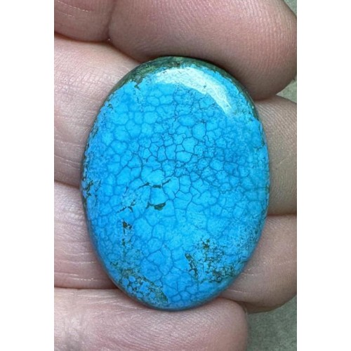 Oval 31x23mm Hubei Turquoise Cabochon 104