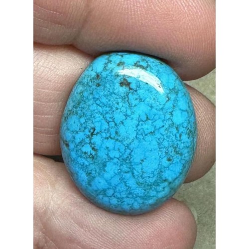 Oval 25x21mm Hubei Turquoise Cabochon 109