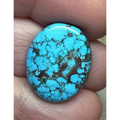 Oval 22x18mm Hubei Turquoise Cabochon 62