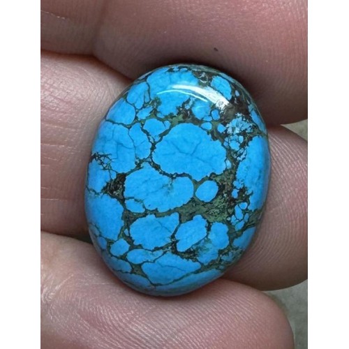 Oval 21x17mm Hubei Turquoise Cabochon 71