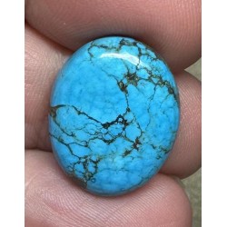 Oval 20x17mm Hubei Turquoise Cabochon 73