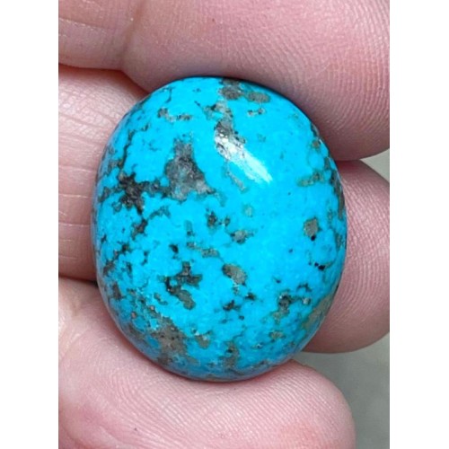 Oval 24x20mm P Turquoise Cabochon 24