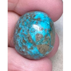 Oval 23x20mm P Turquoise Cabochon 61