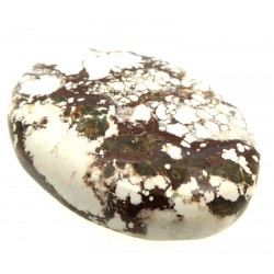 Oval 36x26mm Wild Horse Magnesite Cabochon 02