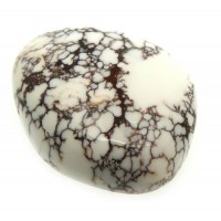 Freeform 26x20mm Wild Horse Magnesite Cabochon 09