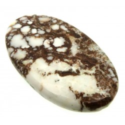 Oval 48x28mm Wild Horse Magnesite Cabochon 17
