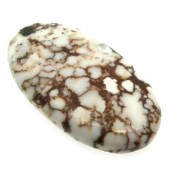 Oval 41x23mm Wild Horse Magnesite Cabochon 18