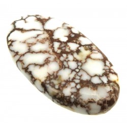 Oval 40x21mm Wild Horse Magnesite Cabochon 24
